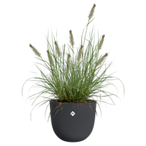 sereh rond 30cm antraciet